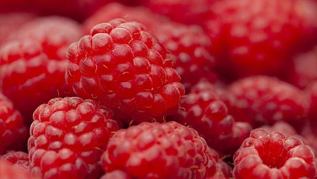 ������� �������� �������� �������