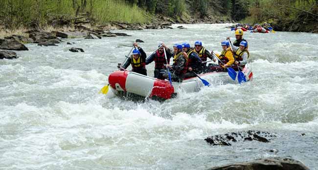 ������� � ��������: ���������� ��������