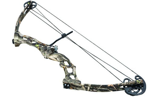 Блочный лук Блочный лук