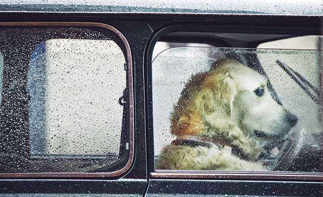 ��� ���������� � �������������� � ������ ����������� � �������