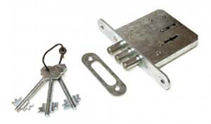 ������������� �����: ���� � �������� �����������