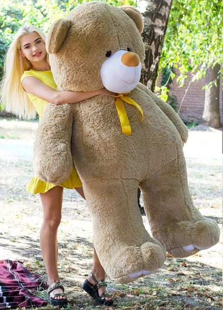 ������� �������� ������� ������ ���������� �������� �� ���� ��������