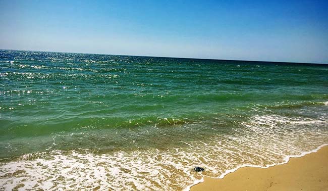 ���������� ������� � ������� ������ � ��������������� �������������