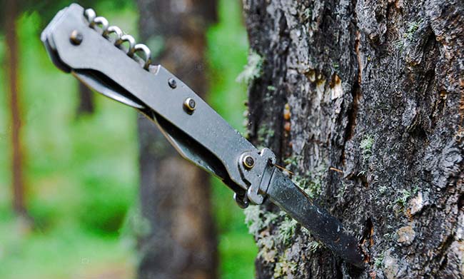 �������� � ������������� ����: ��� ������� ������ ������?