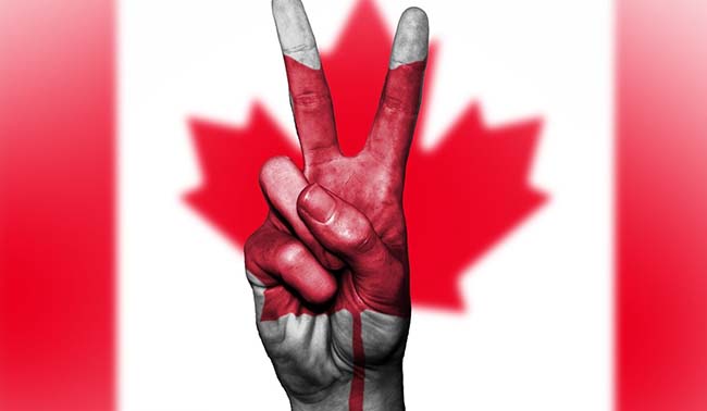 ���� � ������: ��� �������������� � ������