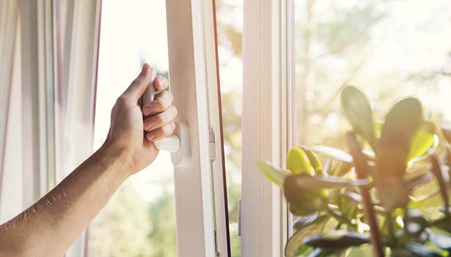 ������ �������� ���� �� ���