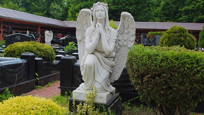 Организация похорон: какой комплекс услуг предоставляют ритуальные бюро? Организация похорон: какой комплекс услуг предоставляют ритуальные бюро?