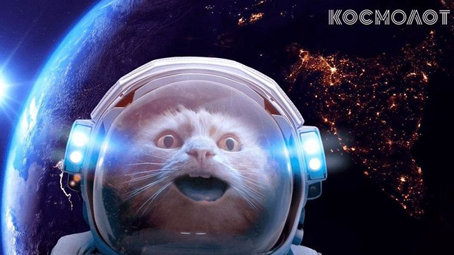 �������� � �������� ������-������