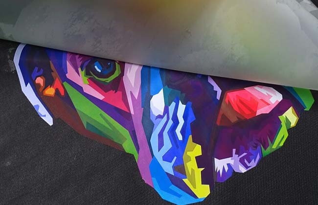 DTF-печать: высококачественное нанесение изображений на ткань DTF-печать: высококачественное нанесение изображений на ткань