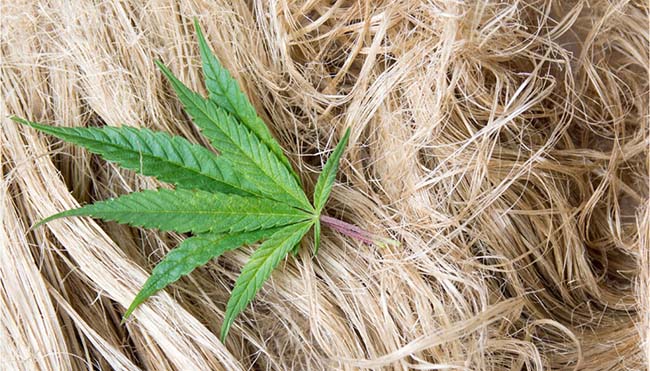 �� ����������� ��������� ���������� � ������� ����� �� ����������� ������������ �������