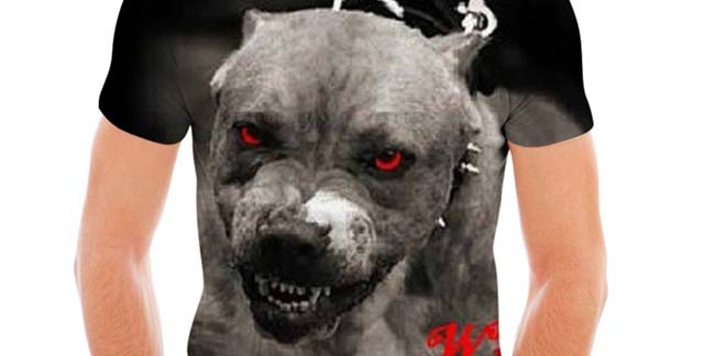 �������� � �������: ��� � ����� ������� ����� ����������