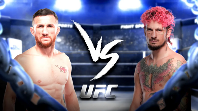     UFC 316 -   '   ?