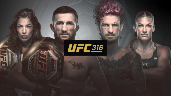     UFC 316 -   '   ?