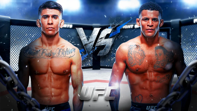     UFC 316 -   '   ?