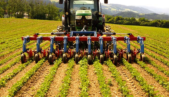 Навесные культиваторы: современное решение для обработки почвы Навесные культиваторы: современное решение для обработки почвы